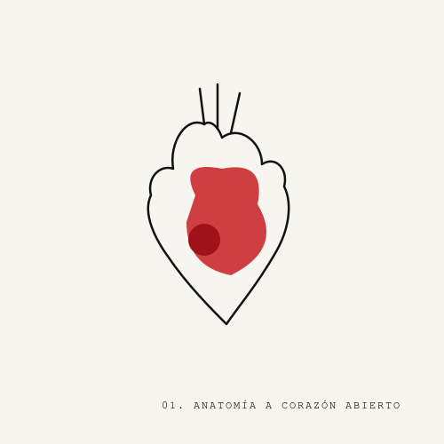 Artwork Anatomía a corazón abierto